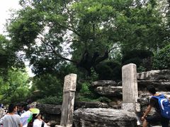 崇祯皇帝上吊处-景山公园