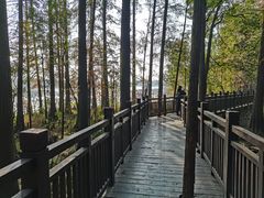 -东湖落雁景区