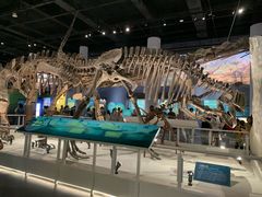 -国家自然博物馆