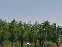 -野鸭湖国家湿地公园