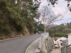 -南岳衡山风景名胜区-南岳大庙