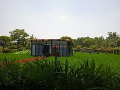 -洪湖家庭农场·团建·露营·会议