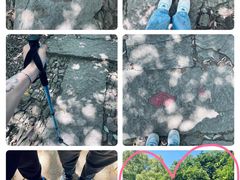 -西湖风景区十里琅珰-五云山