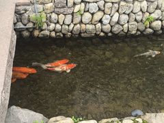 -前童古镇