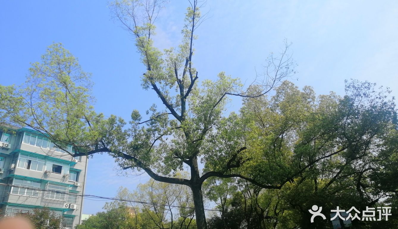 空气中散发得淡淡的青草味！大家在外面玩还是挺多的！