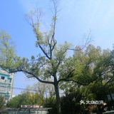 空气中散发得淡淡的青草味！大家在外面玩还是挺多的！