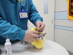 -中农国际动物医院24小时·猫科·骨科·急重症中心