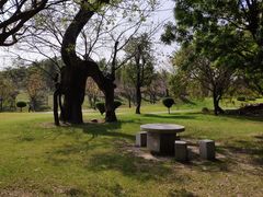 -南通洲际绿博园