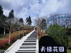 -盈香心动乐园