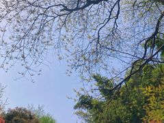 -岳麓山风景名胜区