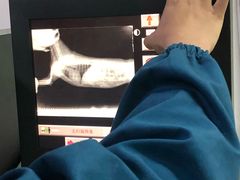 -守诺宠物医院·眼科· 特色牙科·异宠专科(虹口店)