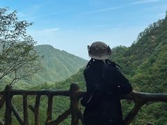 -洛阳白云山景区