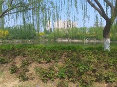 -南翠屏公园