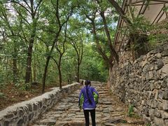 -阳台山自然风景区