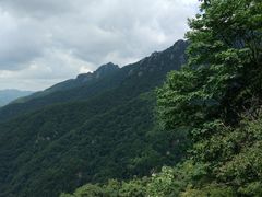 -牛背梁国家森林公园