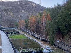 -白水寺森林公园