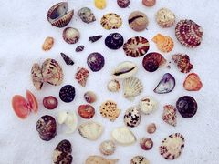 -西涌国际滨海旅游区