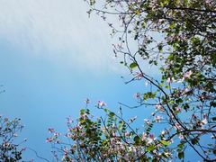 -天河体育中心