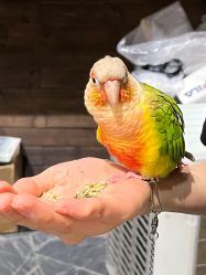 -Zoolung Zoolung动物主题公园(海信广场店)