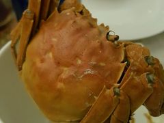 -新发展亚太JW万豪酒店·福苑咖啡厅