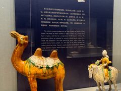 -镇江博物馆