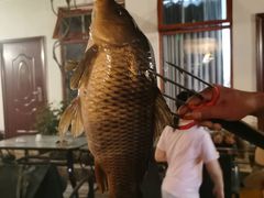 -碓臼峪自然风景区