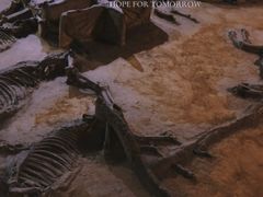 -洛阳周王城天子驾六博物馆