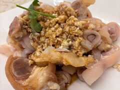 -百利鸽王(紫薇路店)