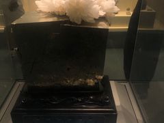 -安徽省地质博物馆
