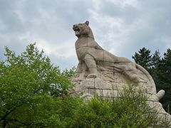 -帽儿山国家森林公园