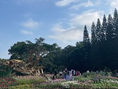 -深圳仙湖植物园