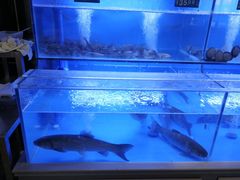 -香谷私厨(高新店)