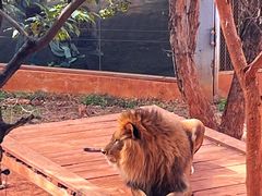 -昆明动物园