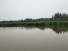 -西青郊野公园