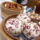 菠萝包针不戳
