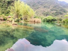 -靖西鹅泉风景区