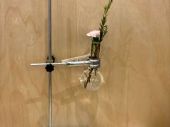 -常识咖啡common sense(春熙路店)