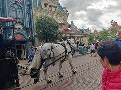 -巴黎迪士尼乐园