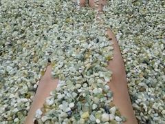 -钓鱼岛洗浴休闲会馆(卫星路店)