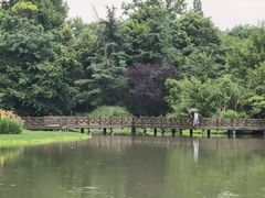 -桤木河湿地公园