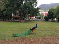 -西昌邛海宾馆