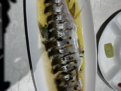 -至尊鲨鱼·原烹海鲜·新浙菜(拱宸桥店)