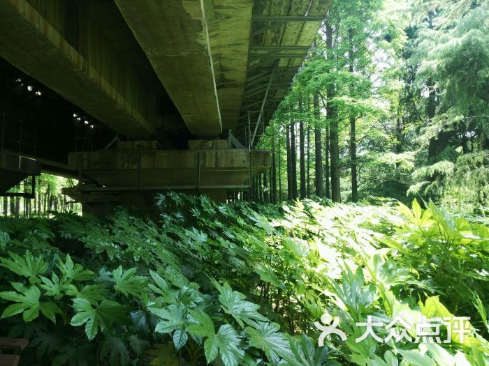 未来岛公园图片 - 第26张