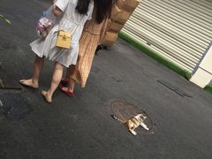 -老宅原住民沙茶面精品小吃(龙头路店)