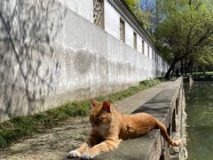 -西园戒幢律寺