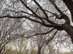 -南长河公园