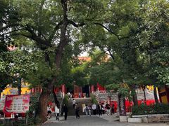 -宝通禅寺