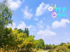 -绿堤公园
