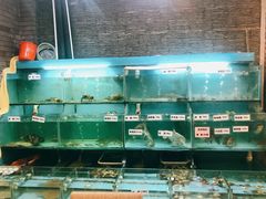 水产区-顺德佬华侨城店·商务宴请·团建