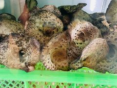 -山菌美食苑(振兴路店)